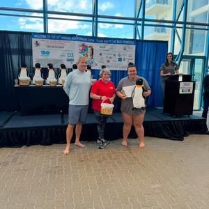 Fundraising Page: Leila Attia